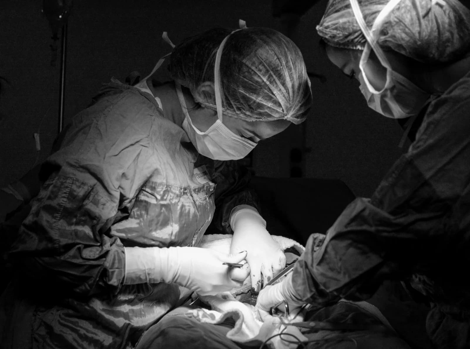 Op. Dr. Pınar Türk Fotoğraf 2