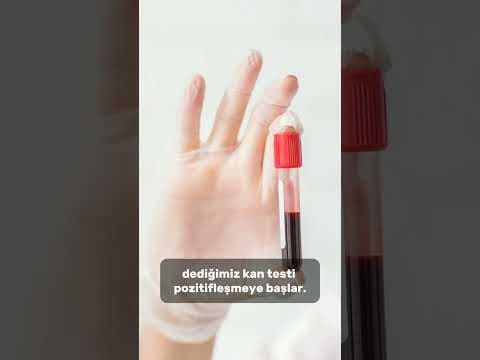 Kanda gebelik testi (hCG testi)