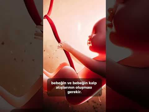 Boş gebelik
