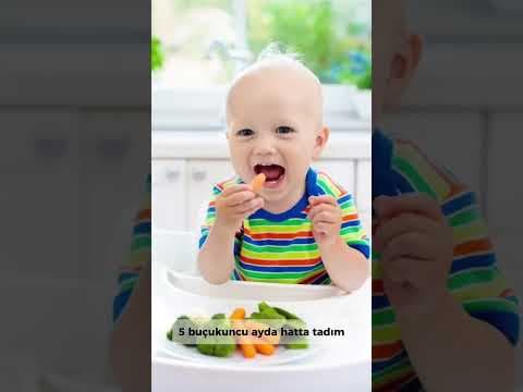 Ek gıdaya geçiş zamanı