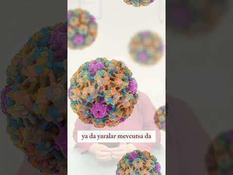 HPV Nedir?
