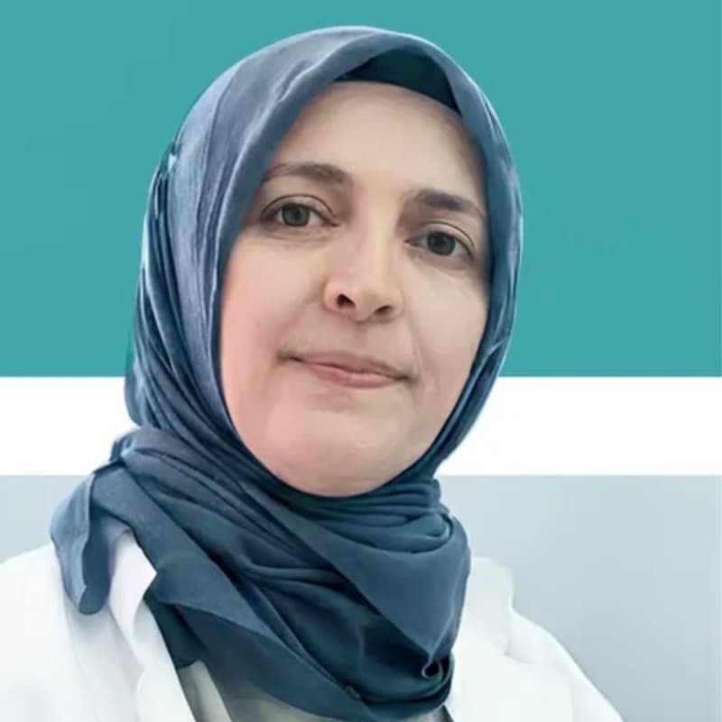Prof. Fatma Yülek
