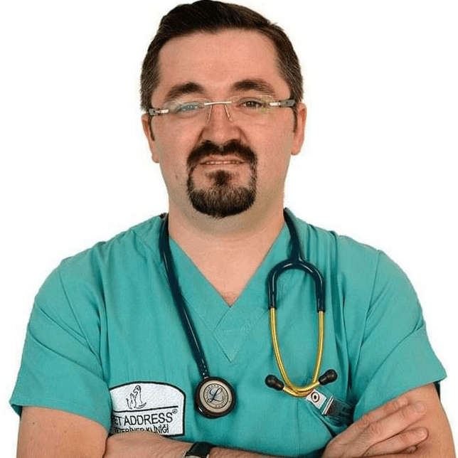 Dr. Ali Ergül