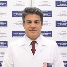 Prof. Ali Yeginsu