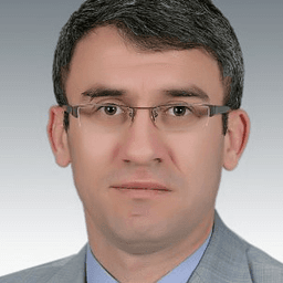 Prof. Alparslan Dilsiz