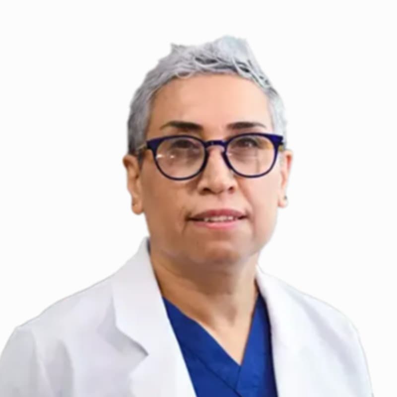 Prof. Dr. Dilek Erer