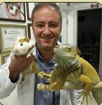 Dr. A.Kutlu Dayıoğlu