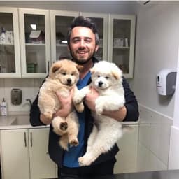 Vet. Mert Bahşi