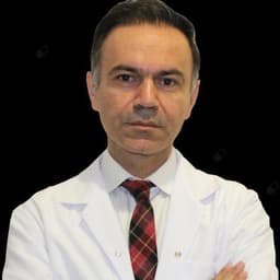 Assoc. Prof. Gökhan Söğütlü