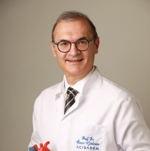 Prof. Dr. Öner Gülcan