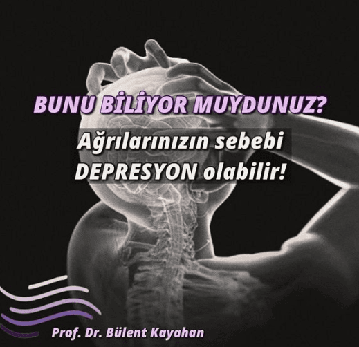 Prof. Dr. Bülent Kayahan Fotoğraf 4