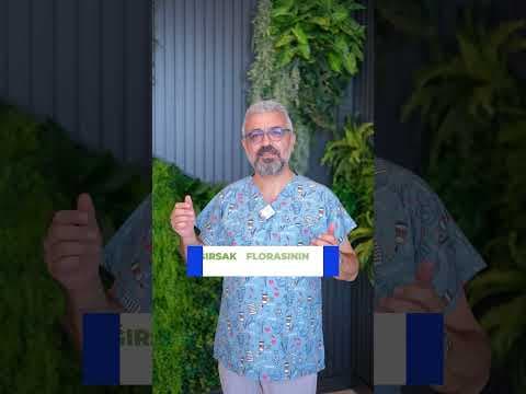 BESİN DUYARLILIĞI NEDİR?