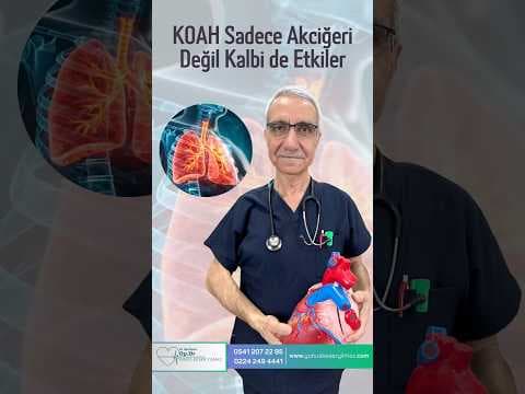 KOAH Sadece Akciğeri Değil Kalbi de Etkiler