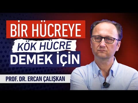 Kök Hücre Nedir