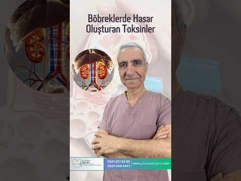 Böbreklerde Hasar Oluşturan Toksinler
