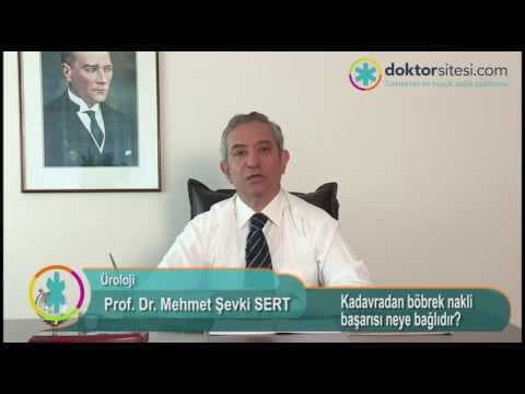 Kadavradan böbrek nakli başarısı neye bağlıdır?
