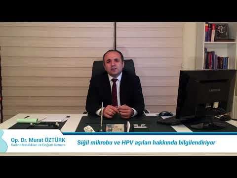 SİGİL ENFEKSİYONU