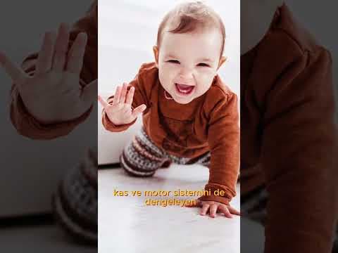 ANNE SÜTÜ: SADECE BESİN DEĞİL, BİR YAŞAM KAYNAĞI